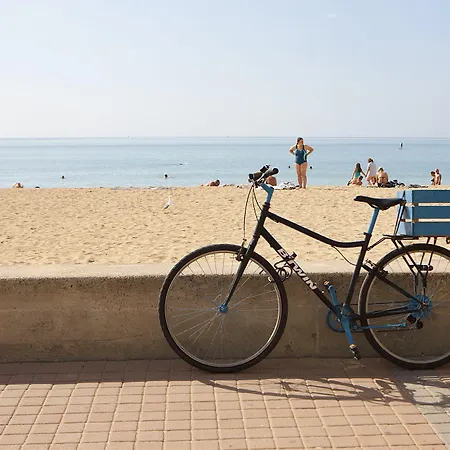 Houm Nets - Adults Only 酒店 帕尔马海滩