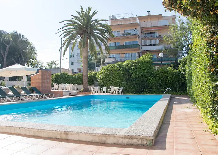 Houm Nets - Adults Only