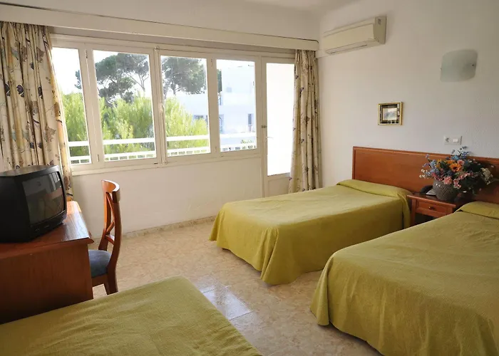 Houm Nets - Adults Only